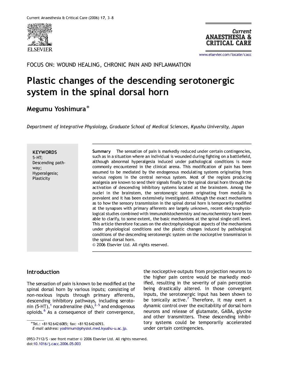 Plastic changes of the descending serotonergic system in the spinal dorsal horn