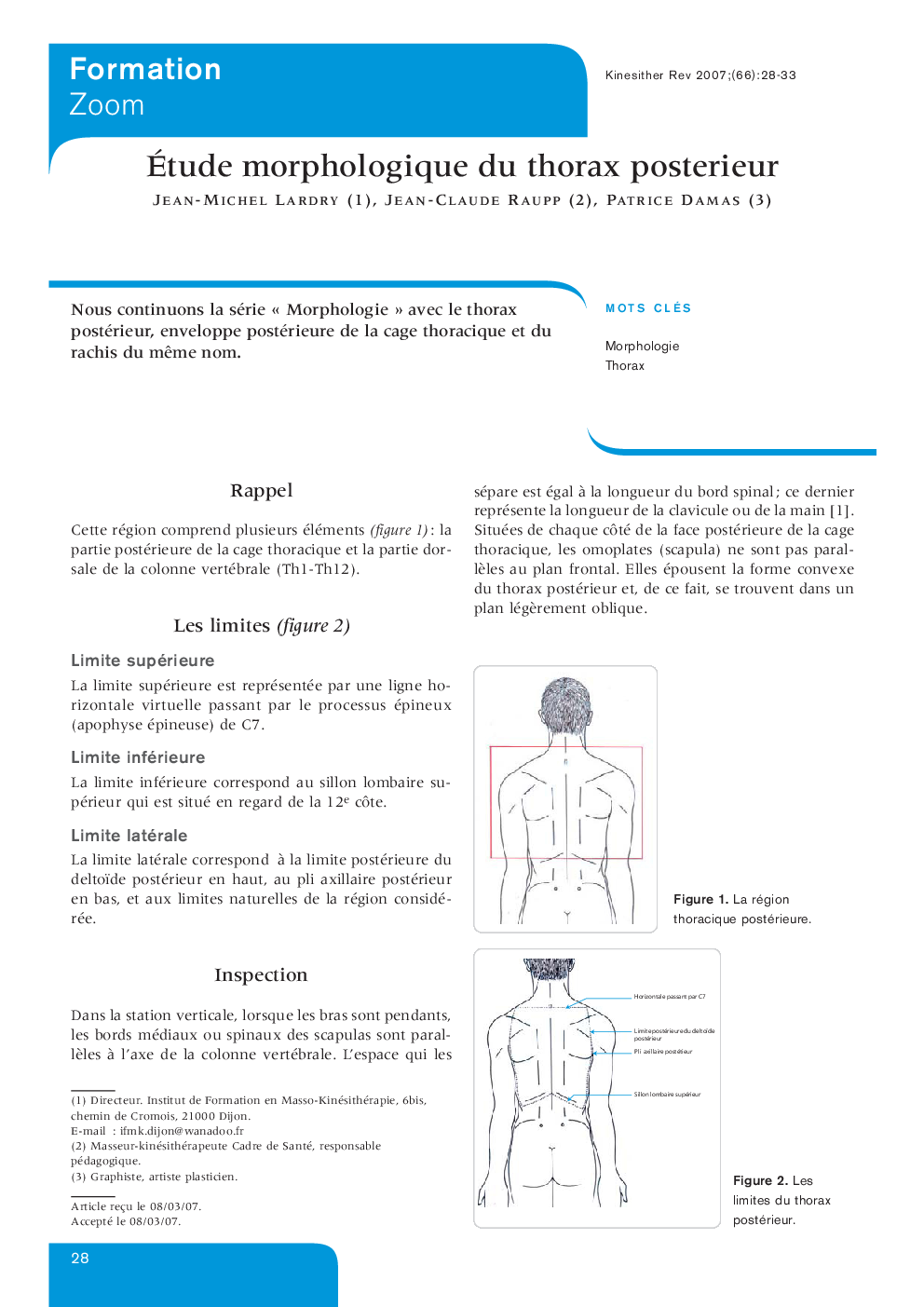 Étude morphologique du thorax posterieur