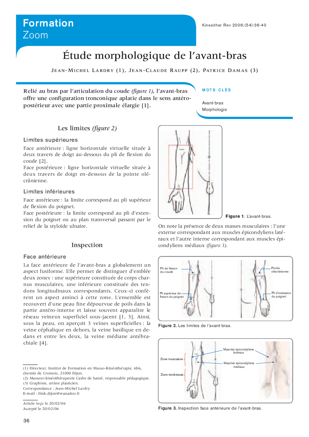 Étude morphologique de l’avant-bras