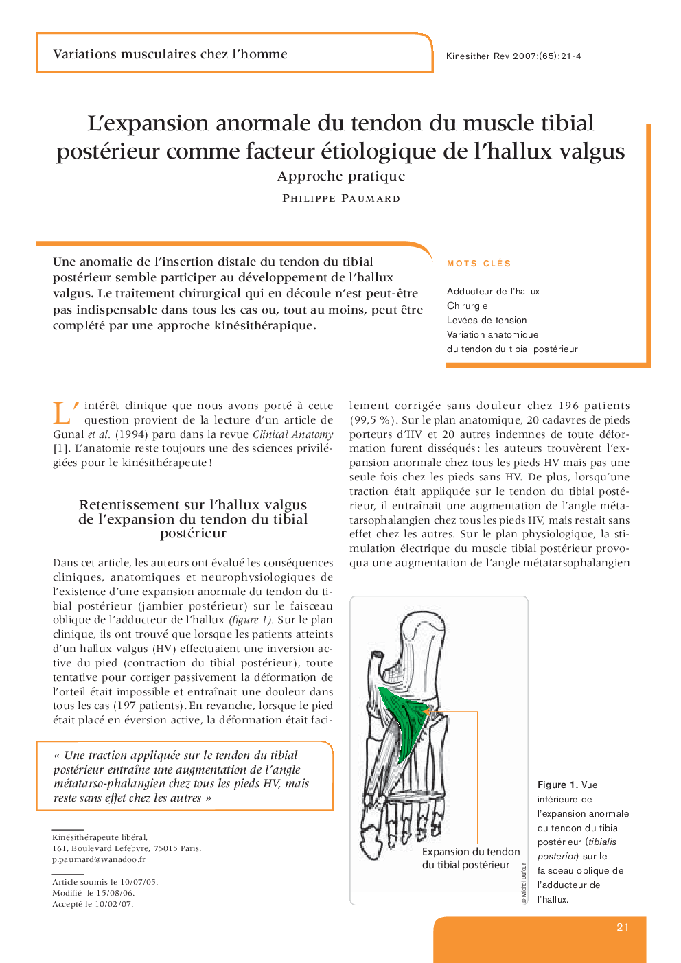 L’expansion anormale du tendon du muscle tibial postérieur comme facteur étiologique de l’hallux valgus: Approche pratique