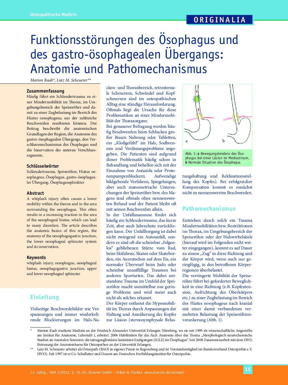 Funktionsstörungen des Ösophagus und des gastro-ösophagealen Übergangs: Anatomie und Pathomechanismus