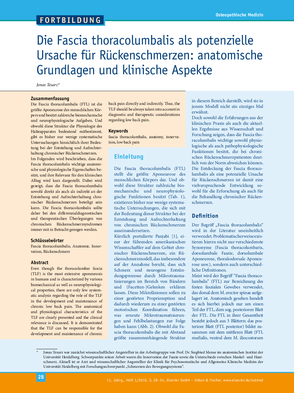 Die Fascia thoracolumbalis als potenzielle Ursache für Rückenschmerzen: anatomische Grundlagen und klinische Aspekte