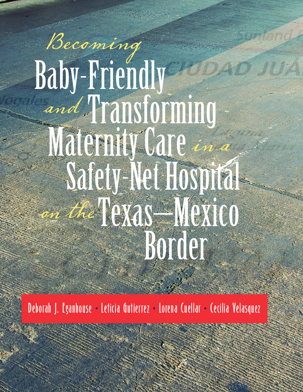 Becoming Baby-Friendly and Transforming Maternity Care in a Safety-Net Hospital on the Texas–Mexico Border 