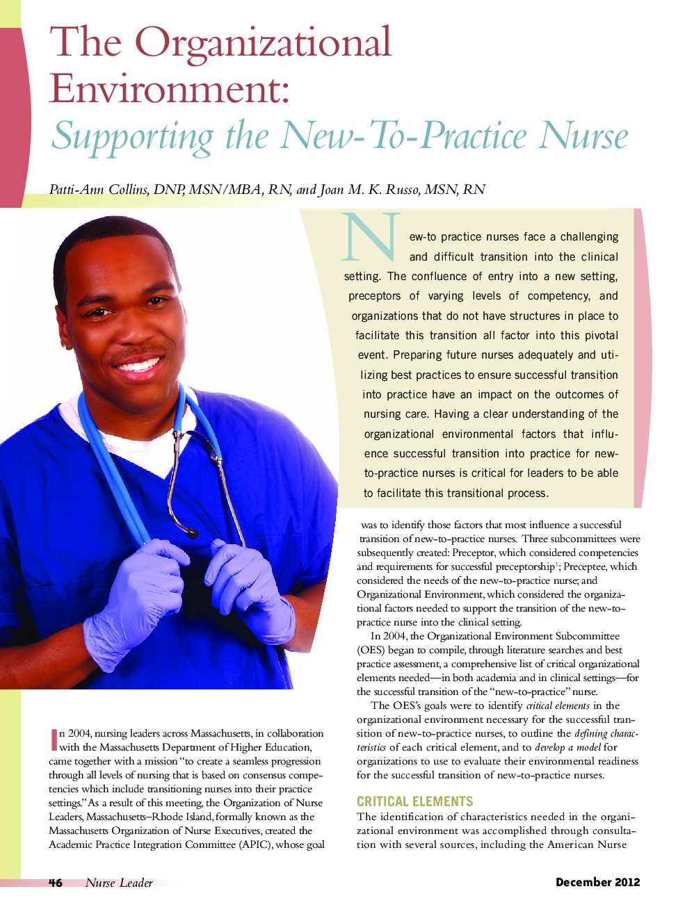 The Organizational Environment: Supporting the New-To-Practice Nurse