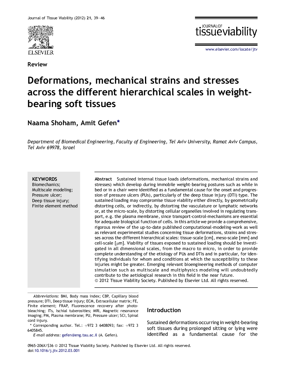 Deformations, mechanical strains and stresses across the different hierarchical scales in weight-bearing soft tissues