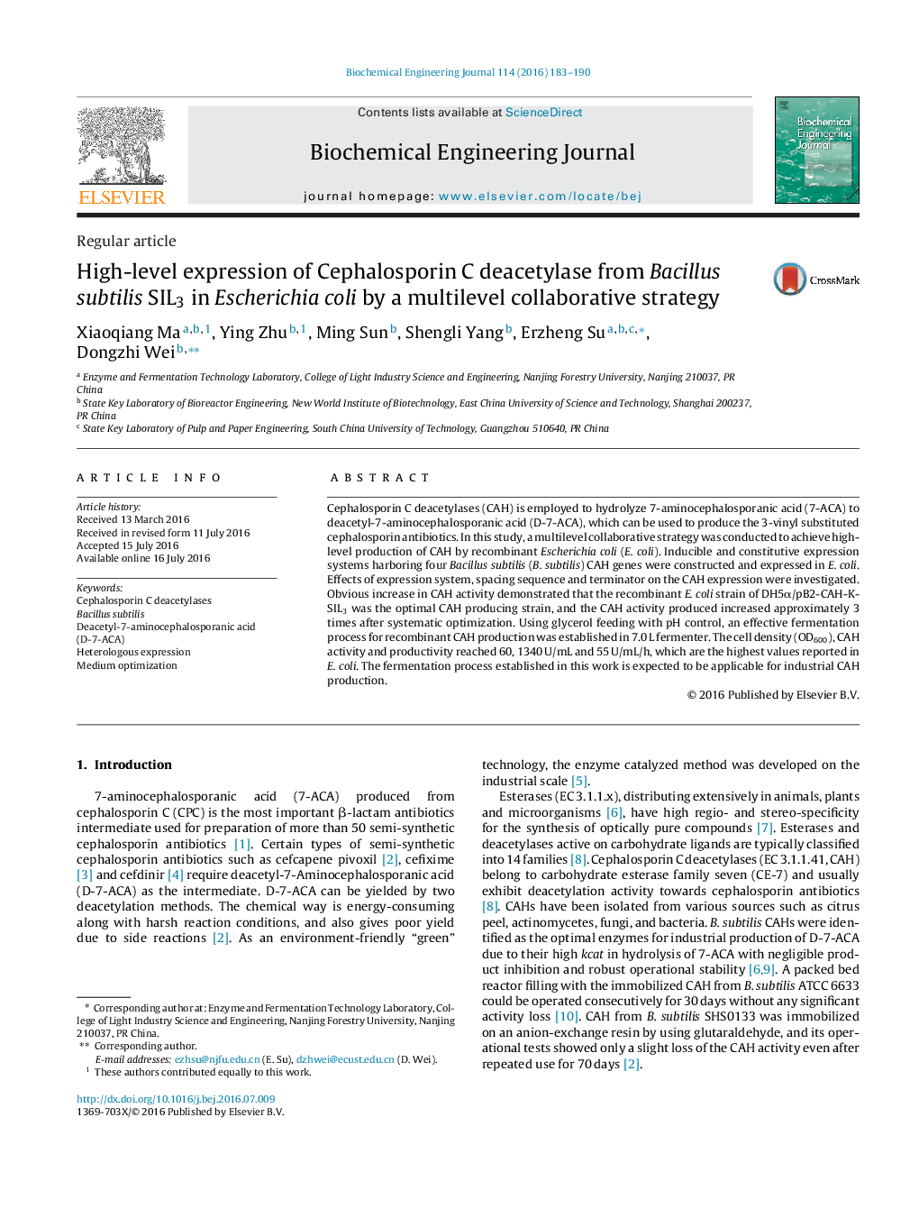 High-level expression of Cephalosporin C deacetylase from Bacillus subtilis SIL3 in Escherichia coli by a multilevel collaborative strategy