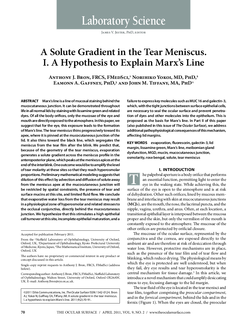 A Solute Gradient in the Tear Meniscus. I. A Hypothesis to Explain Marx's Line 