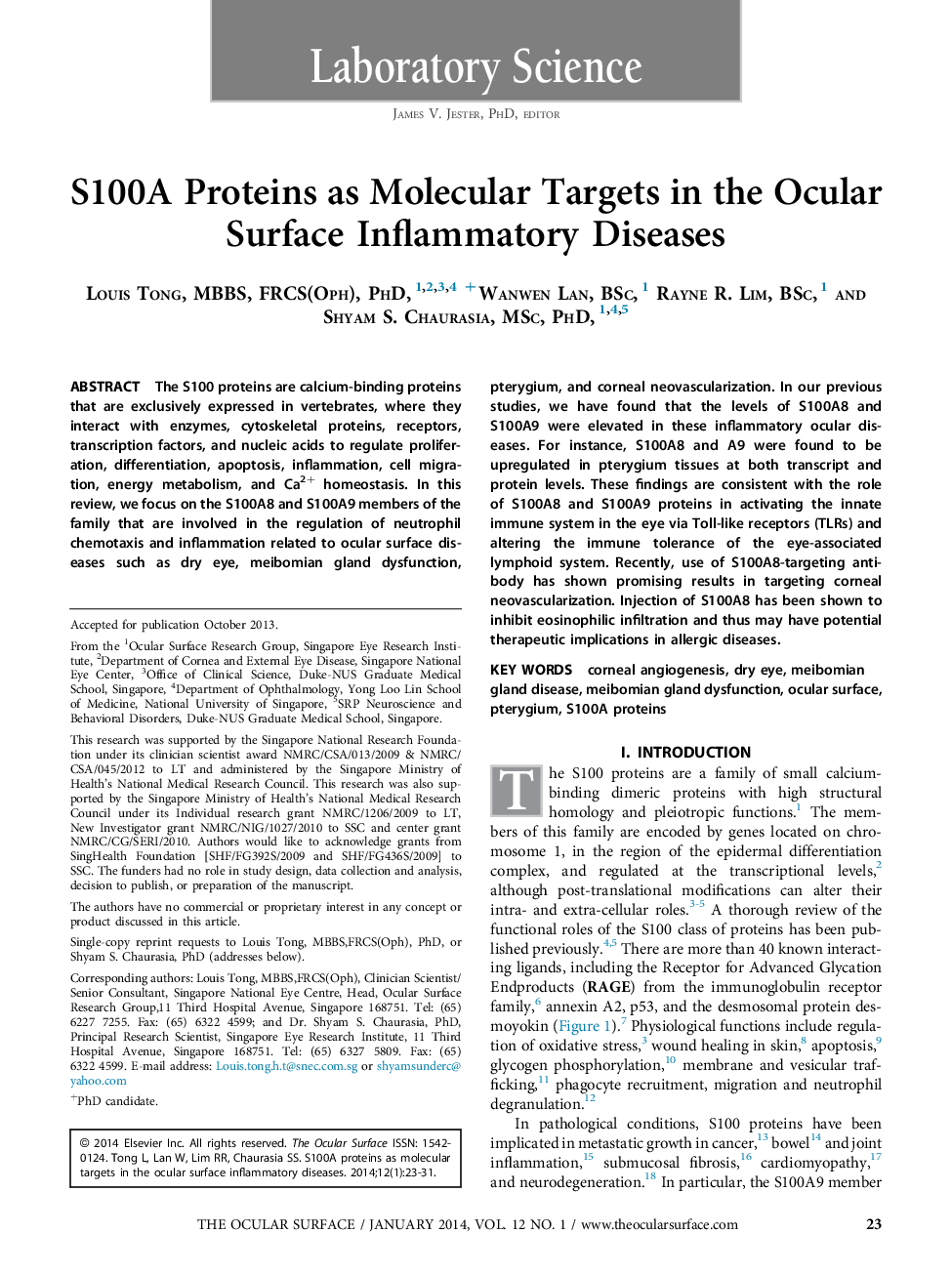 S100A Proteins as Molecular Targets in the Ocular Surface Inflammatory Diseases 