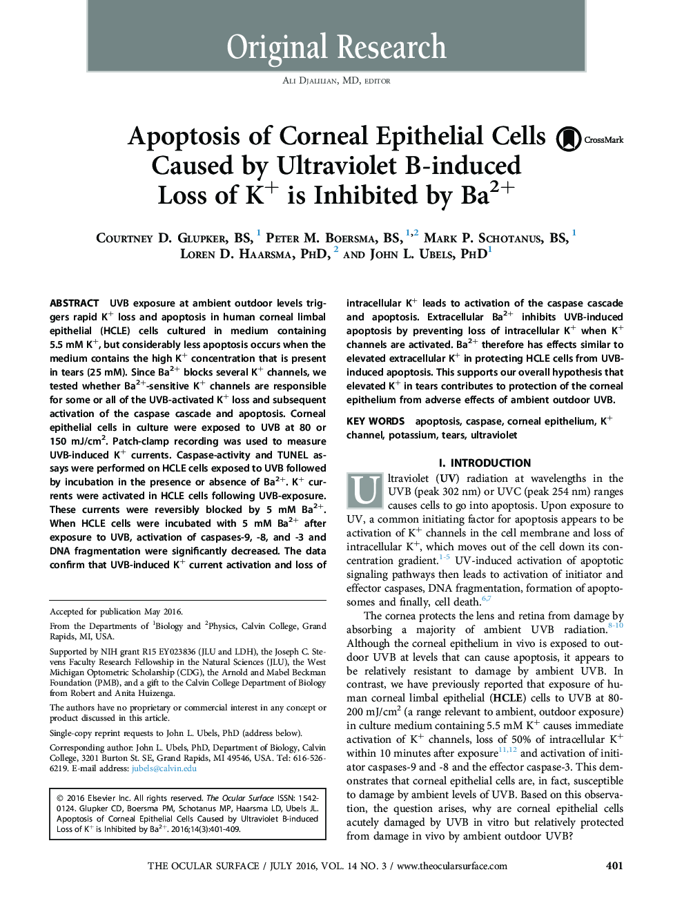 آپوپتوزیس سلول های اپیتلیال قرنیه بدلیل از دست دادن اشعه ماورای بنفش القایی B از K+ مهار  شده با BA2+ 