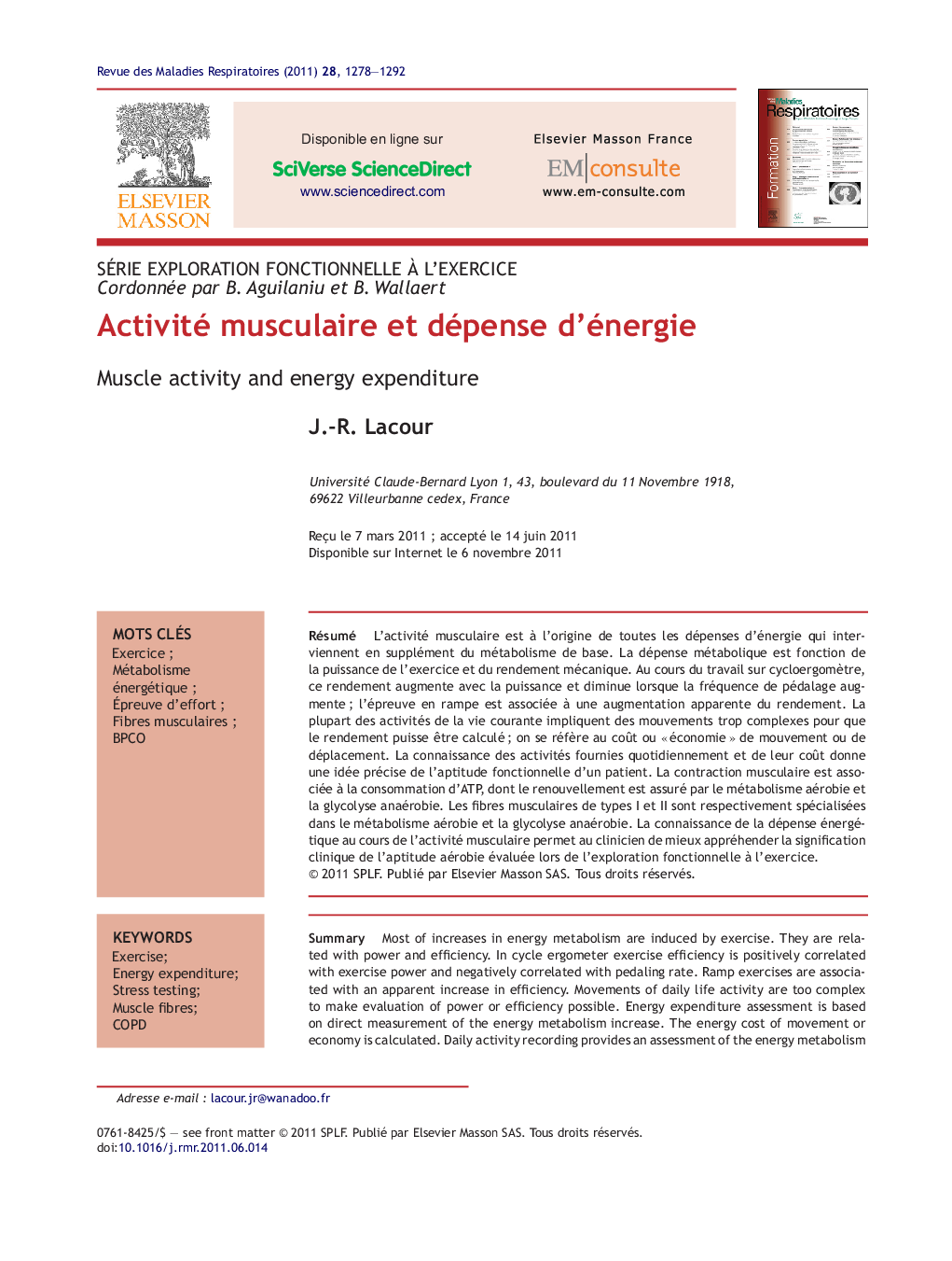 Activité musculaire et dépense d'énergie