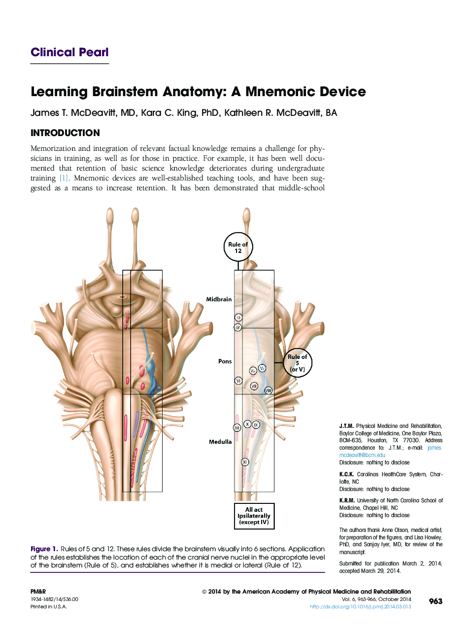 یادگیری مغز و اعصاب آناتومی: یک دستگاه مغزی 