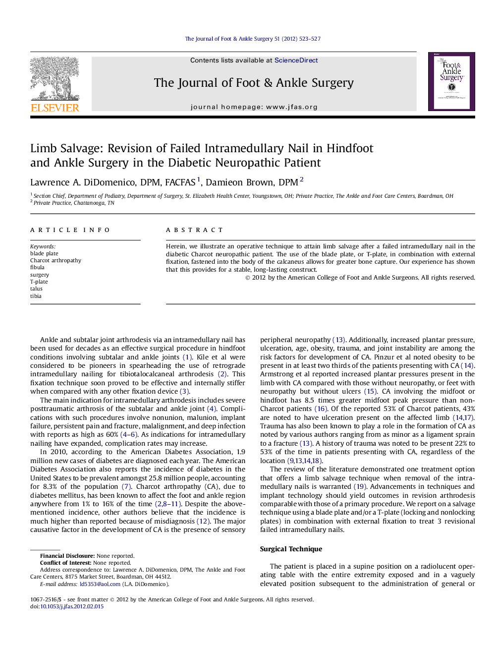 Limb Salvage: Revision of Failed Intramedullary Nail in Hindfoot and Ankle Surgery in the Diabetic Neuropathic Patient 