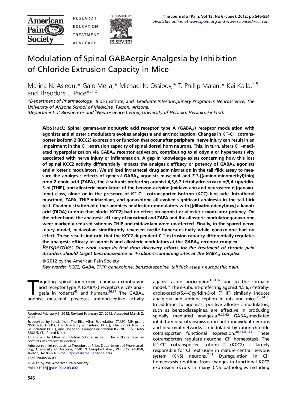 Modulation of Spinal GABAergic Analgesia by Inhibition of Chloride Extrusion Capacity in Mice 