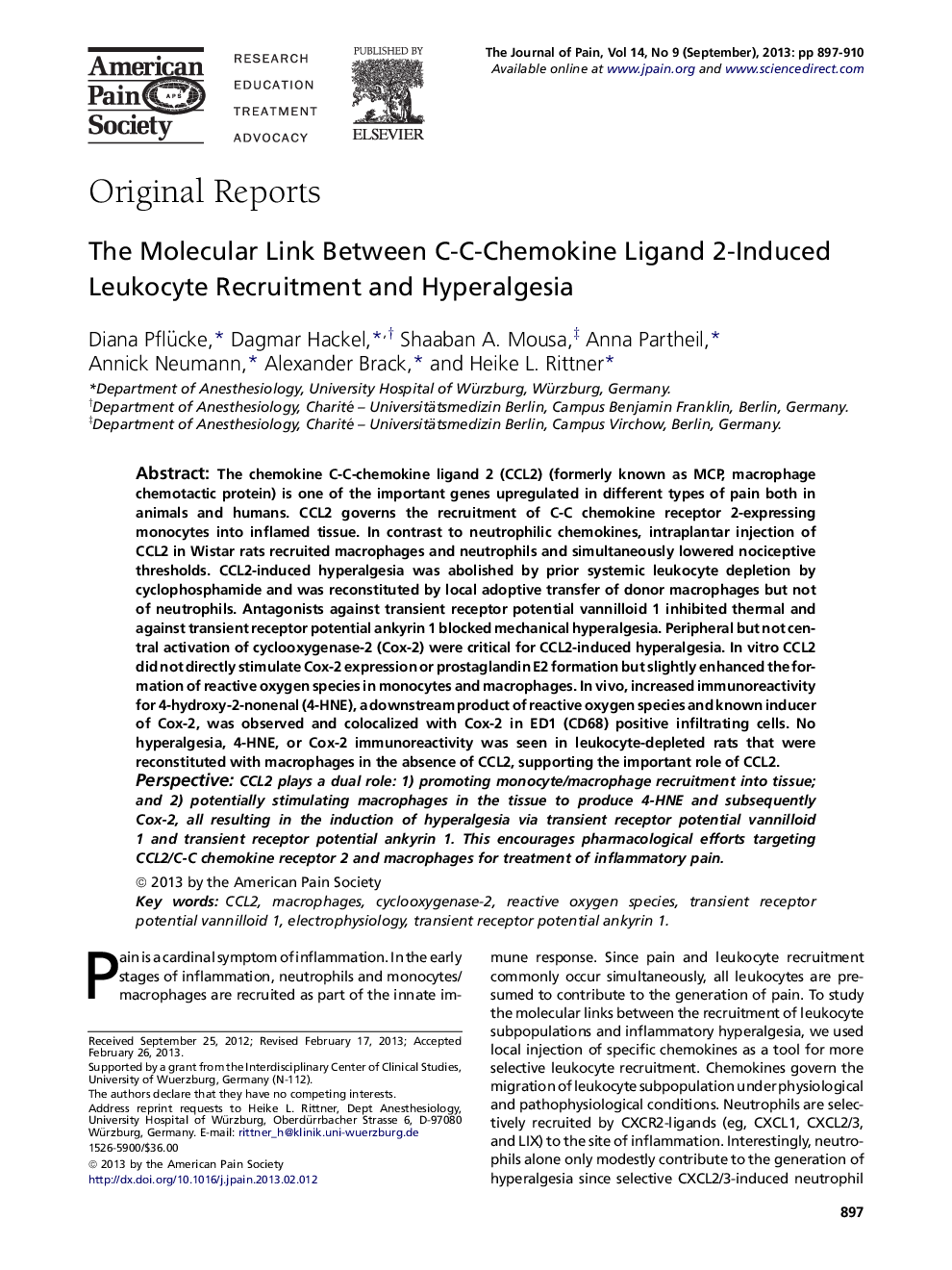 The Molecular Link Between C-C-Chemokine Ligand 2-Induced Leukocyte Recruitment and Hyperalgesia 