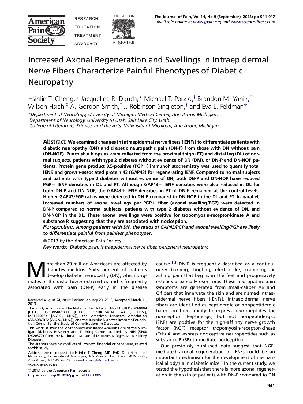 Increased Axonal Regeneration and Swellings in Intraepidermal Nerve Fibers Characterize Painful Phenotypes of Diabetic Neuropathy 