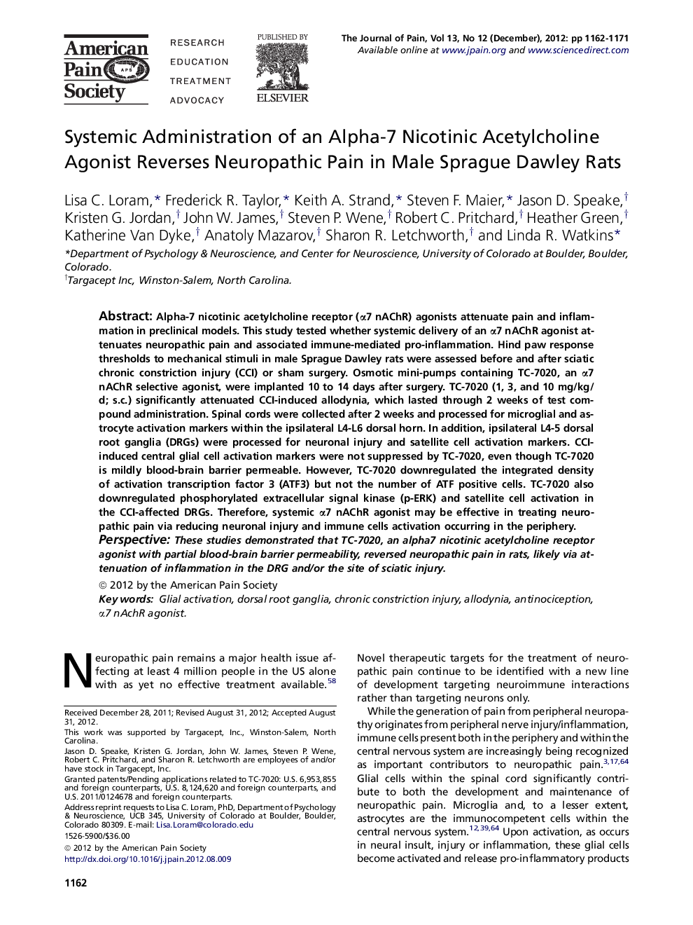 Systemic Administration of an Alpha-7 Nicotinic Acetylcholine Agonist Reverses Neuropathic Pain in Male Sprague Dawley Rats 