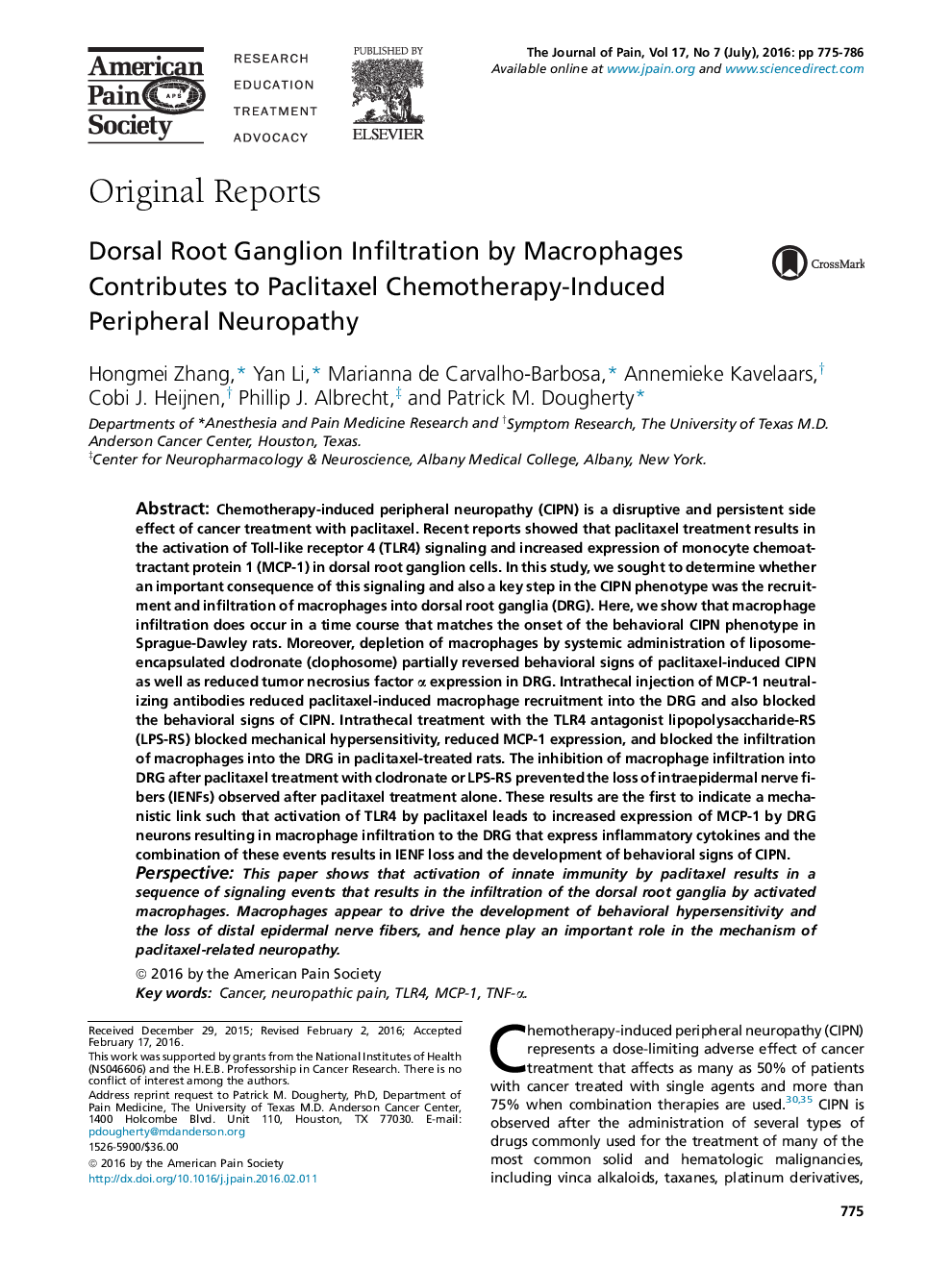 Dorsal Root Ganglion Infiltration by Macrophages Contributes to Paclitaxel Chemotherapy-Induced Peripheral Neuropathy 