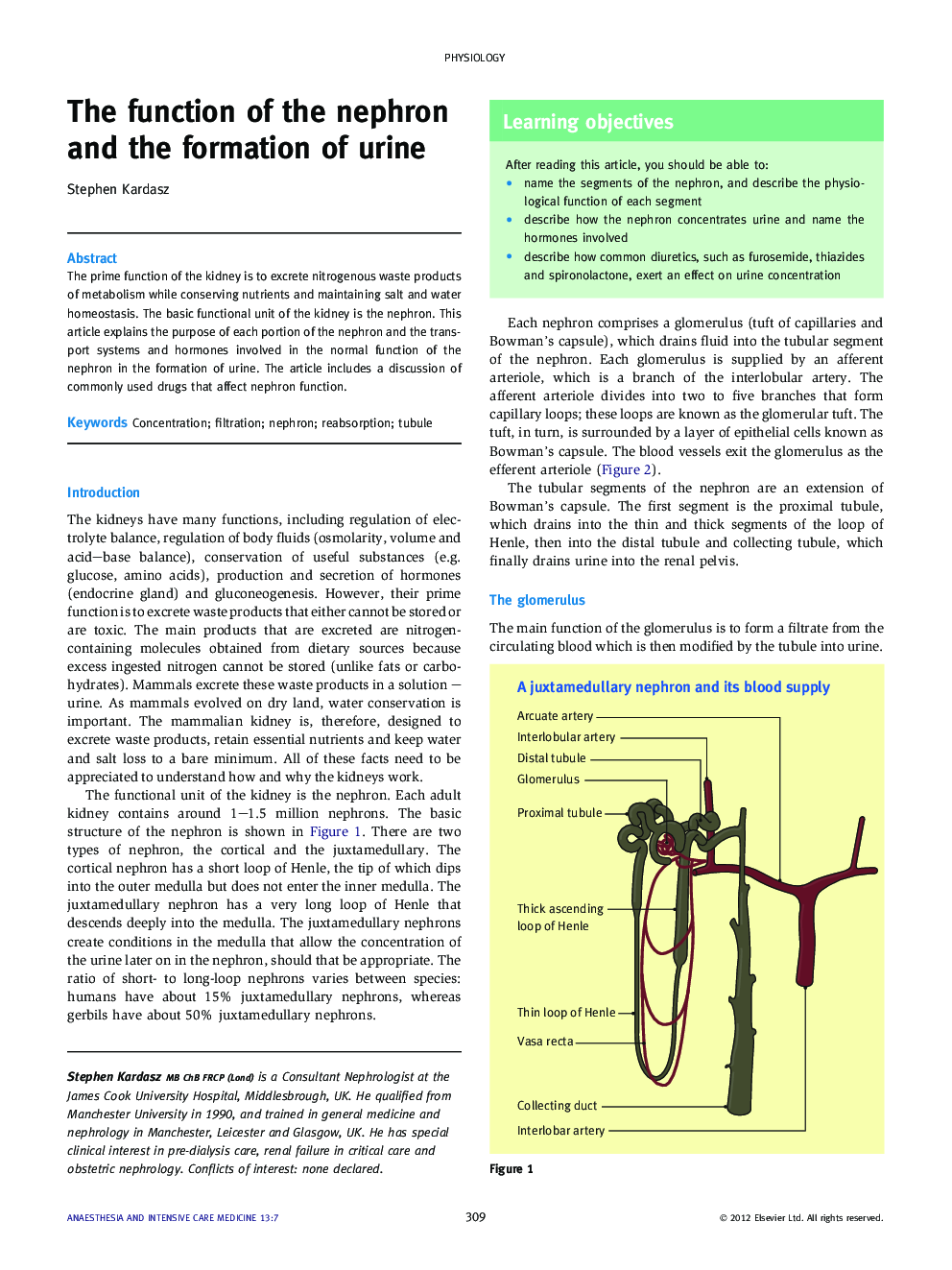 The function of the nephron and the formation of urine