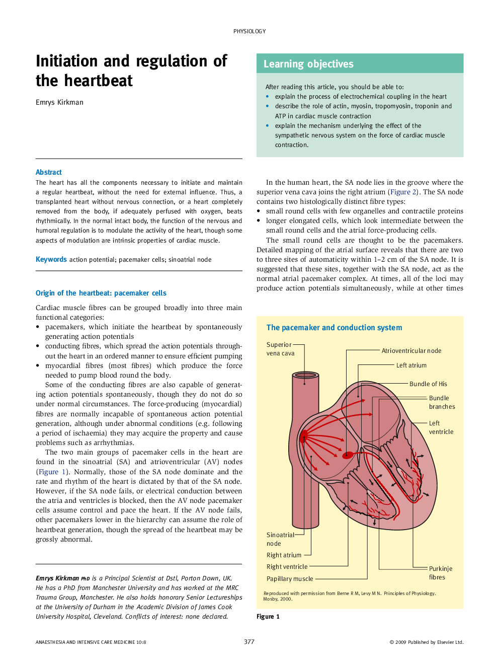 Initiation and regulation of the heartbeat