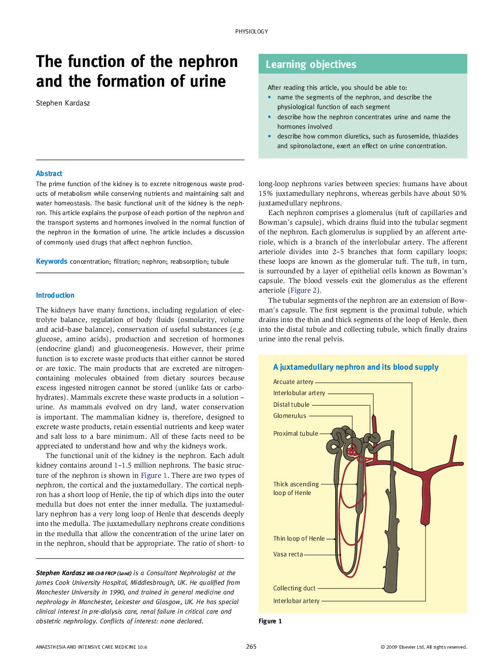 The function of the nephron and the formation of urine