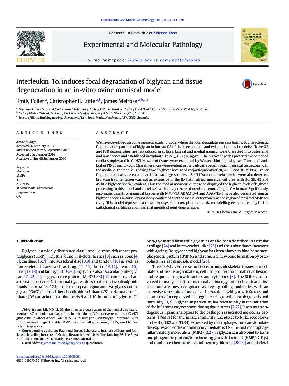 Interleukin-1α induces focal degradation of biglycan and tissue degeneration in an in-vitro ovine meniscal model