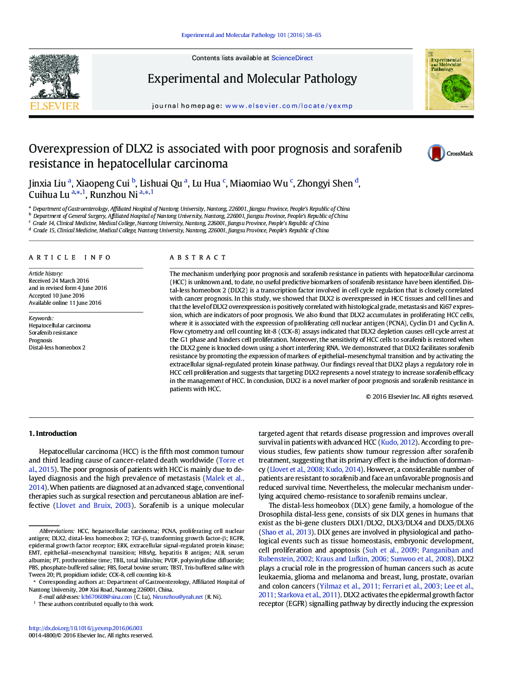 Overexpression of DLX2 is associated with poor prognosis and sorafenib resistance in hepatocellular carcinoma