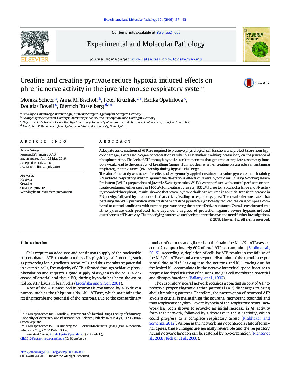 Creatine and creatine pyruvate reduce hypoxia-induced effects on phrenic nerve activity in the juvenile mouse respiratory system