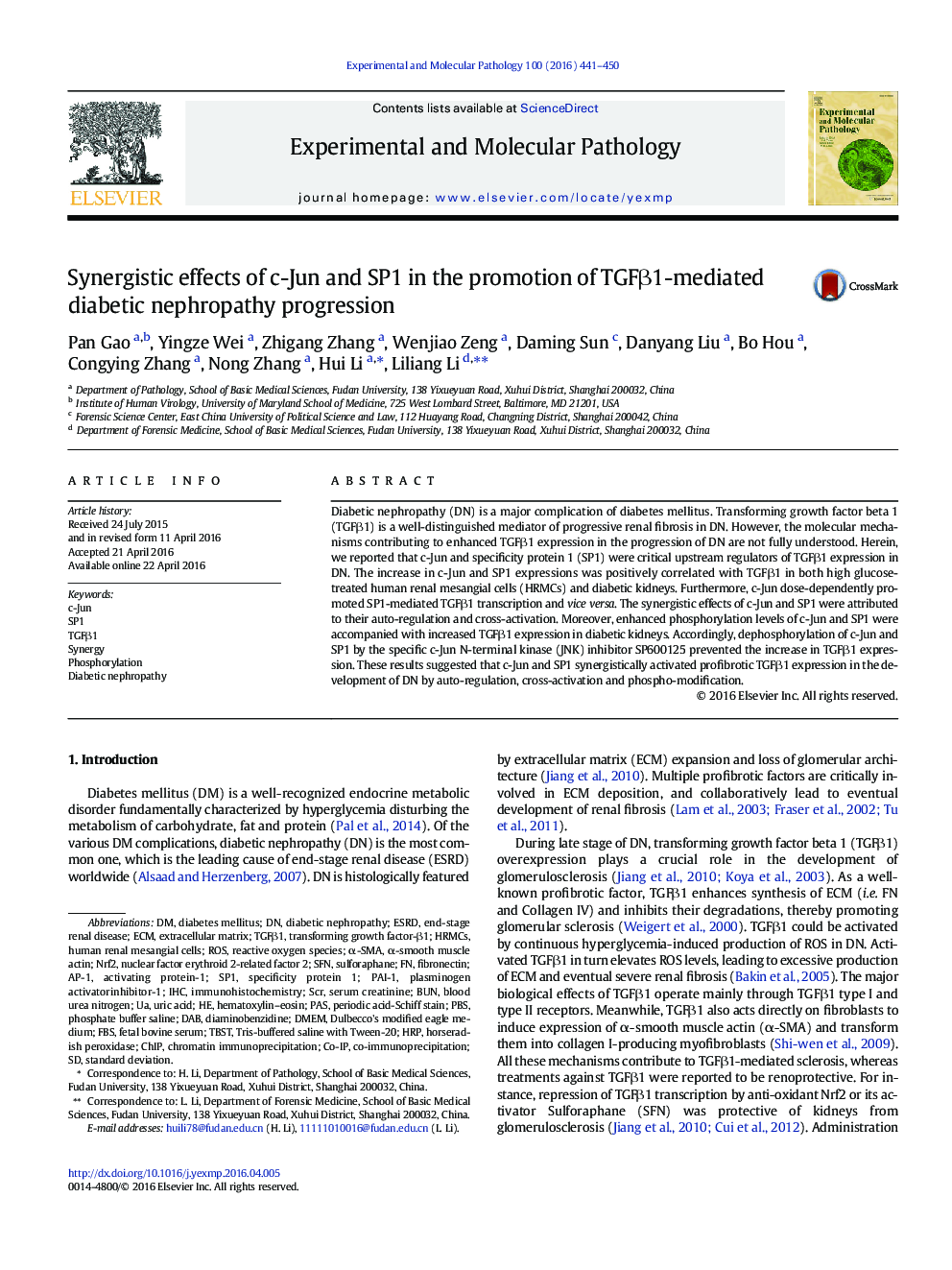 Synergistic effects of c-Jun and SP1 in the promotion of TGFβ1-mediated diabetic nephropathy progression