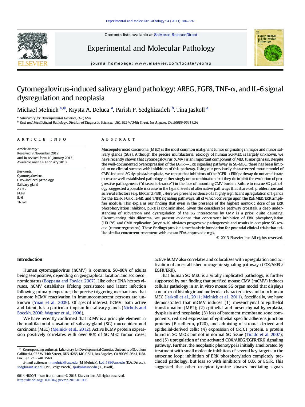 Cytomegalovirus-induced salivary gland pathology: AREG, FGF8, TNF-α, and IL-6 signal dysregulation and neoplasia