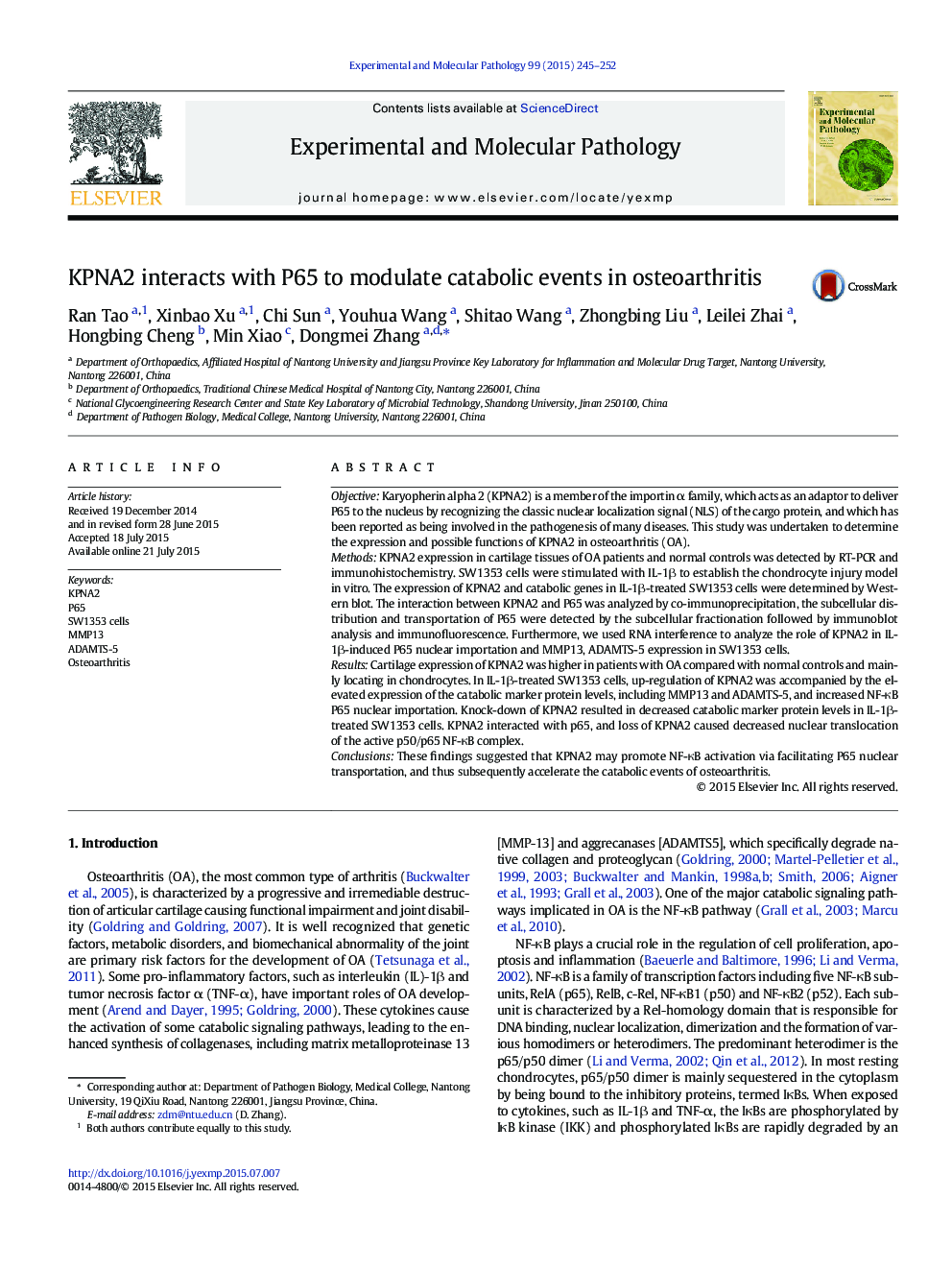 KPNA2 interacts with P65 to modulate catabolic events in osteoarthritis