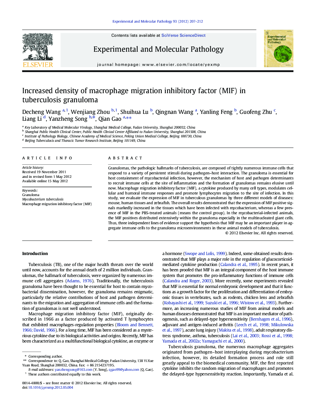 Increased density of macrophage migration inhibitory factor (MIF) in tuberculosis granuloma