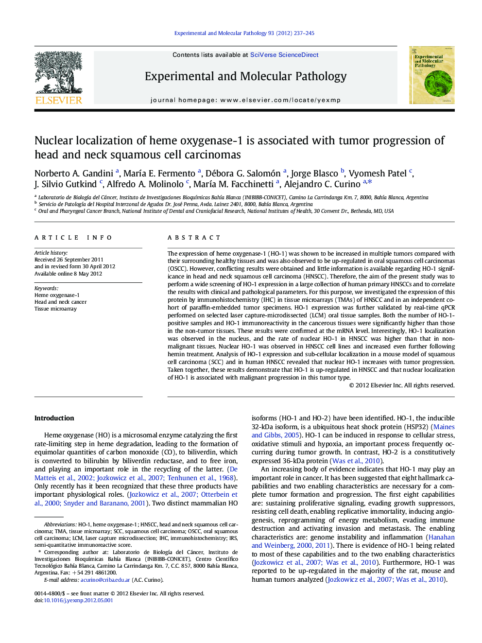 Nuclear localization of heme oxygenase-1 is associated with tumor progression of head and neck squamous cell carcinomas