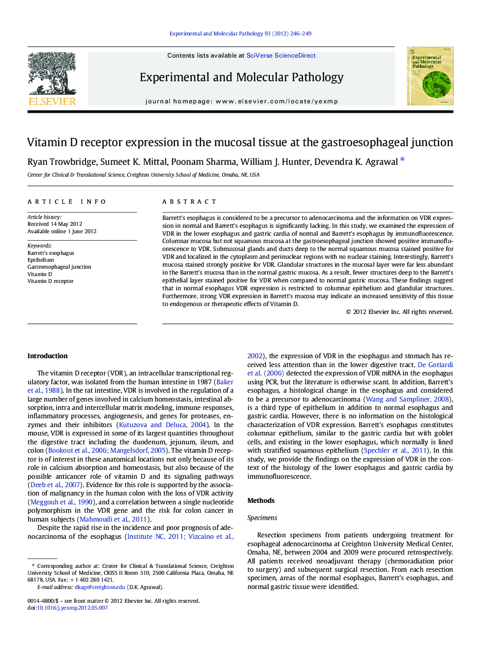 Vitamin D receptor expression in the mucosal tissue at the gastroesophageal junction