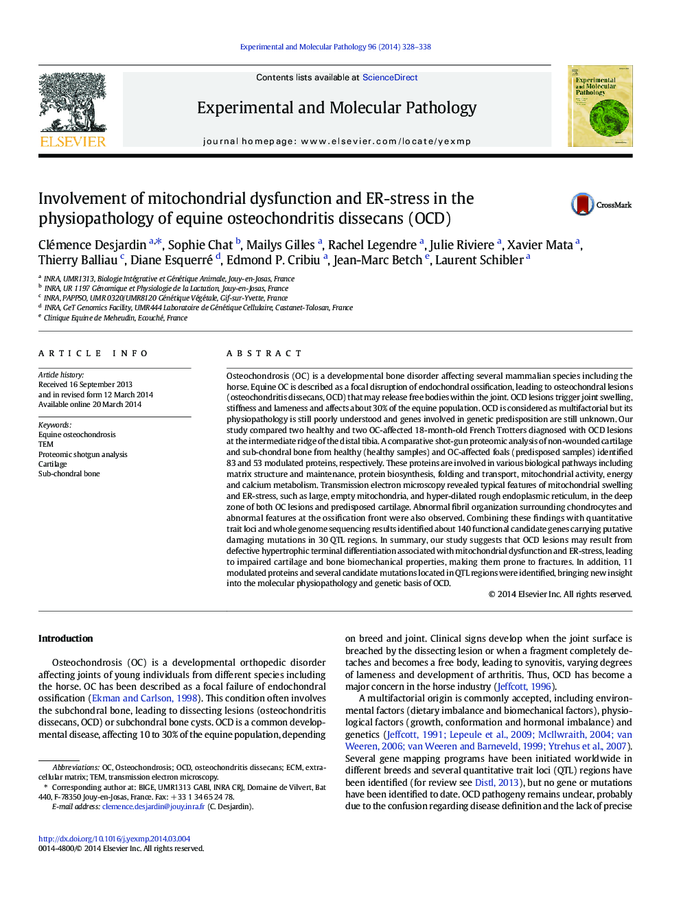 Involvement of mitochondrial dysfunction and ER-stress in the physiopathology of equine osteochondritis dissecans (OCD)