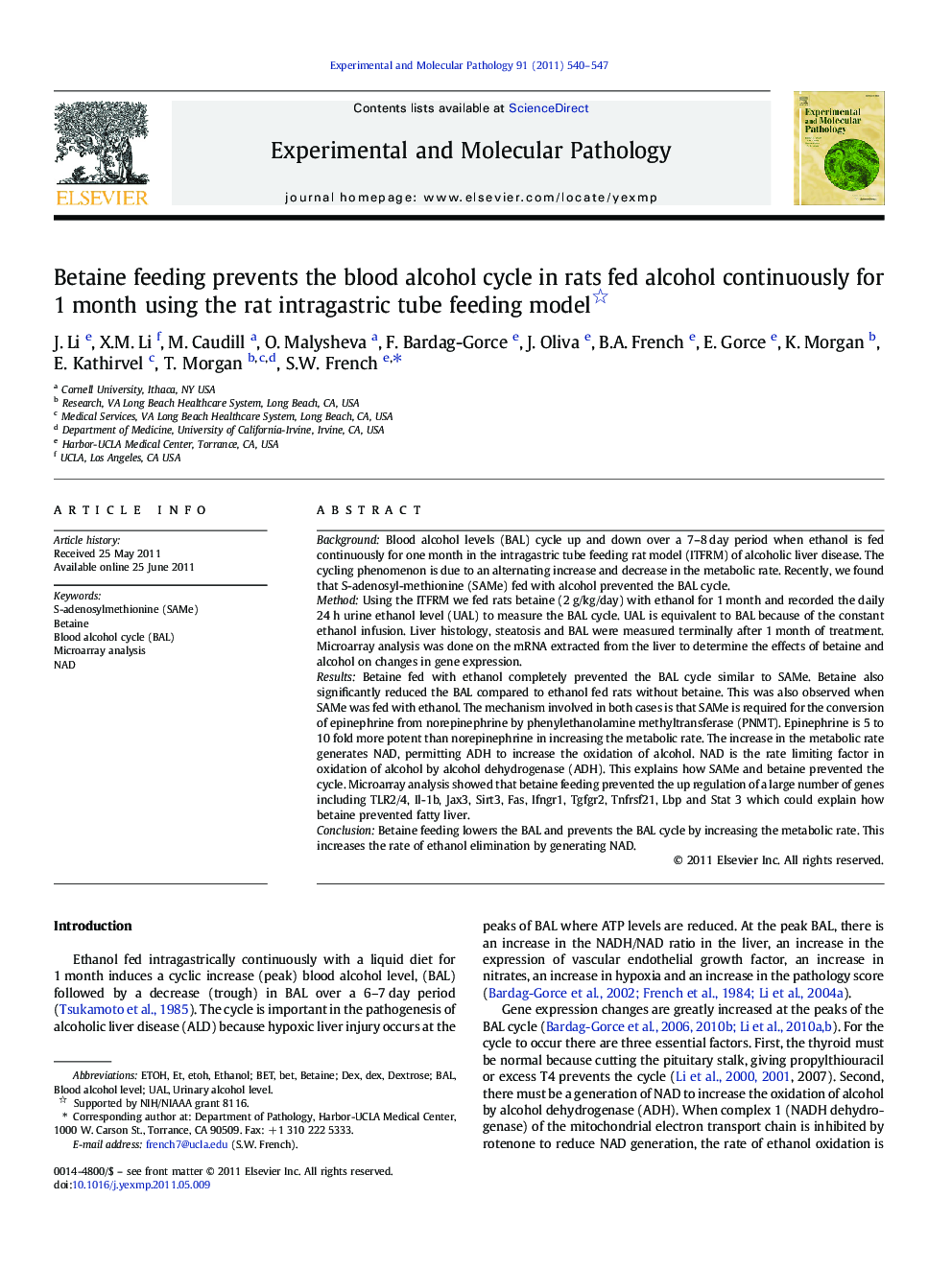 Betaine feeding prevents the blood alcohol cycle in rats fed alcohol continuously for 1 month using the rat intragastric tube feeding model 