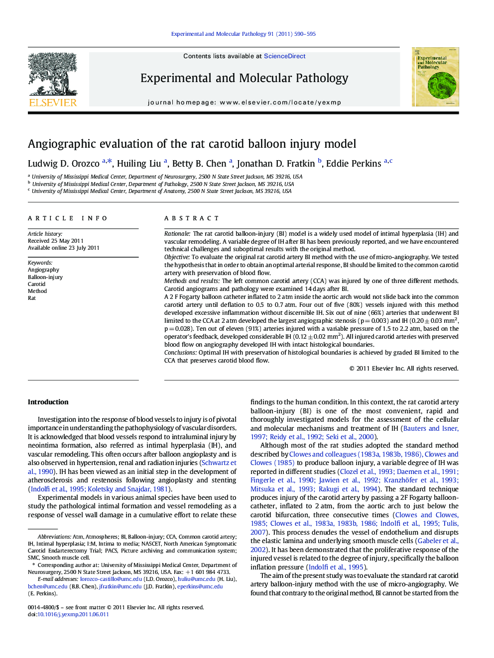 Angiographic evaluation of the rat carotid balloon injury model