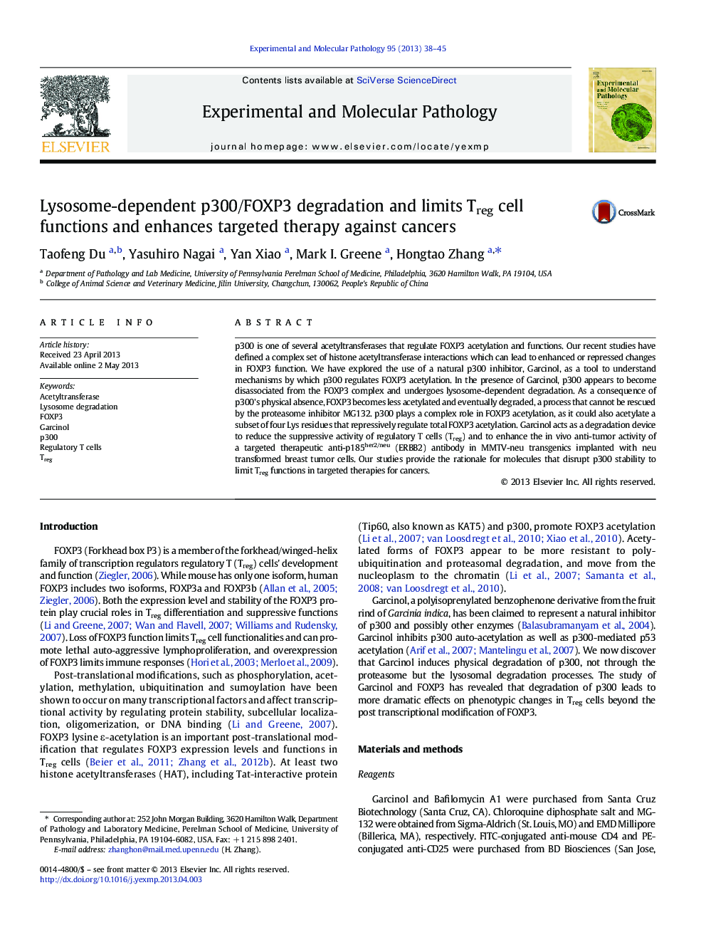 Lysosome-dependent p300/FOXP3 degradation and limits Treg cell functions and enhances targeted therapy against cancers