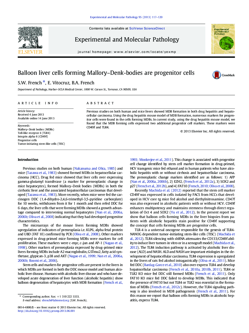 عکس صفحه اول مقاله: Balloon liver cells forming Mallory–Denk-bodies are progenitor cells Balloon liver cells forming Mallory–Denk-bodies are progenitor cells