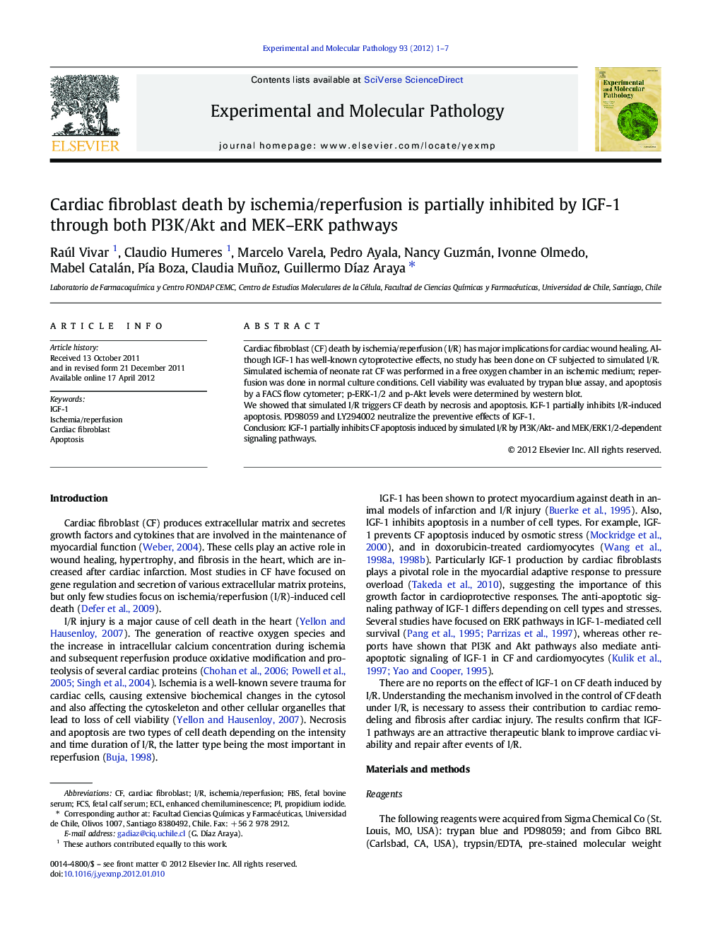 Cardiac fibroblast death by ischemia/reperfusion is partially inhibited by IGF-1 through both PI3K/Akt and MEK–ERK pathways