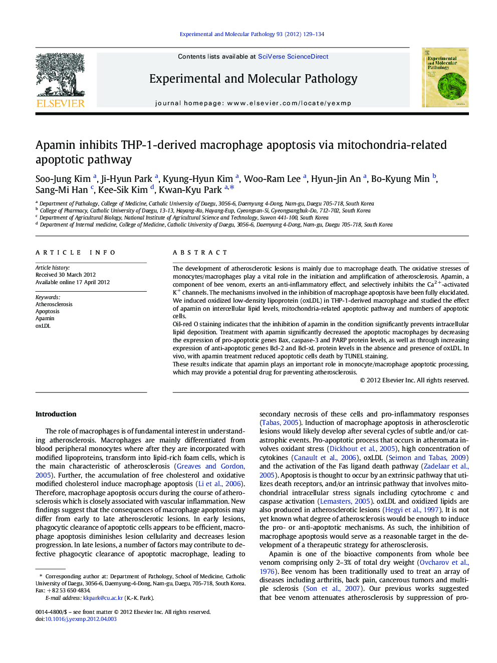 Apamin inhibits THP-1-derived macrophage apoptosis via mitochondria-related apoptotic pathway