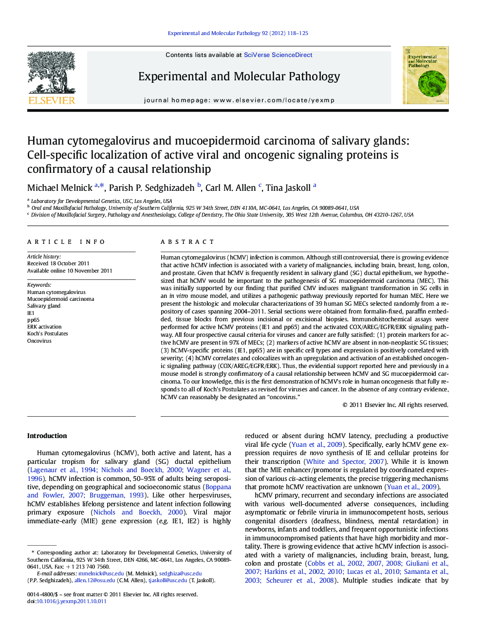 Human cytomegalovirus and mucoepidermoid carcinoma of salivary glands: Cell-specific localization of active viral and oncogenic signaling proteins is confirmatory of a causal relationship