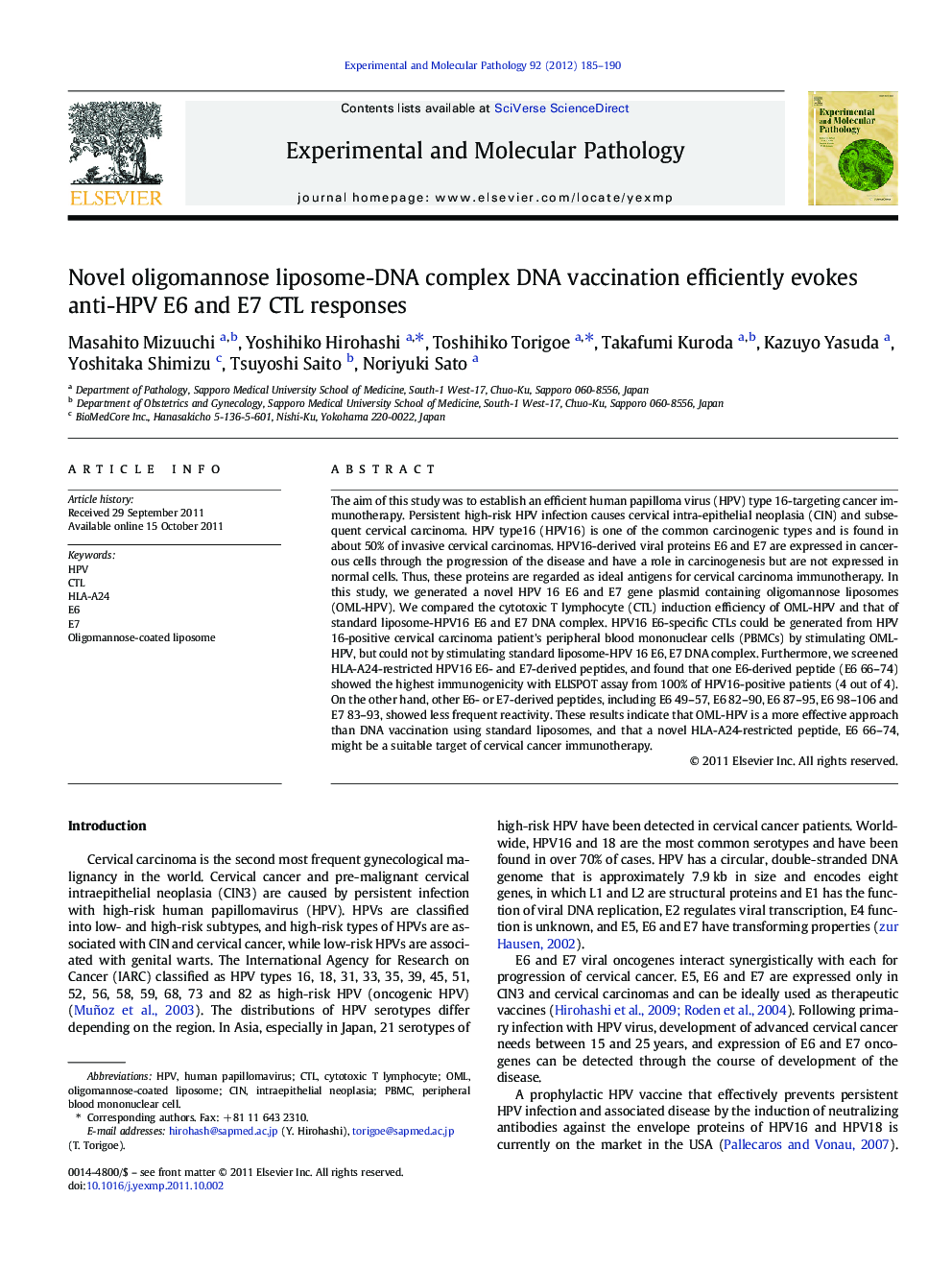 Novel oligomannose liposome-DNA complex DNA vaccination efficiently evokes anti-HPV E6 and E7 CTL responses
