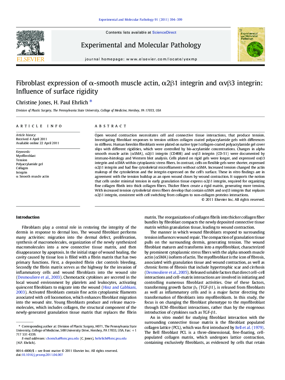 Fibroblast expression of α-smooth muscle actin, α2β1 integrin and αvβ3 integrin: Influence of surface rigidity