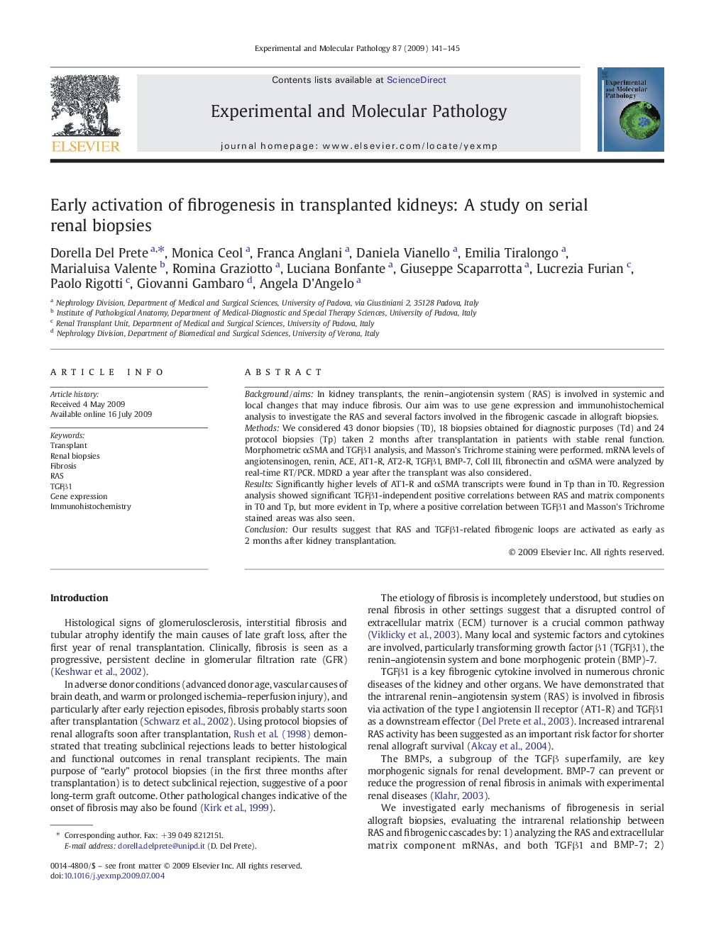 Early activation of fibrogenesis in transplanted kidneys: A study on serial renal biopsies