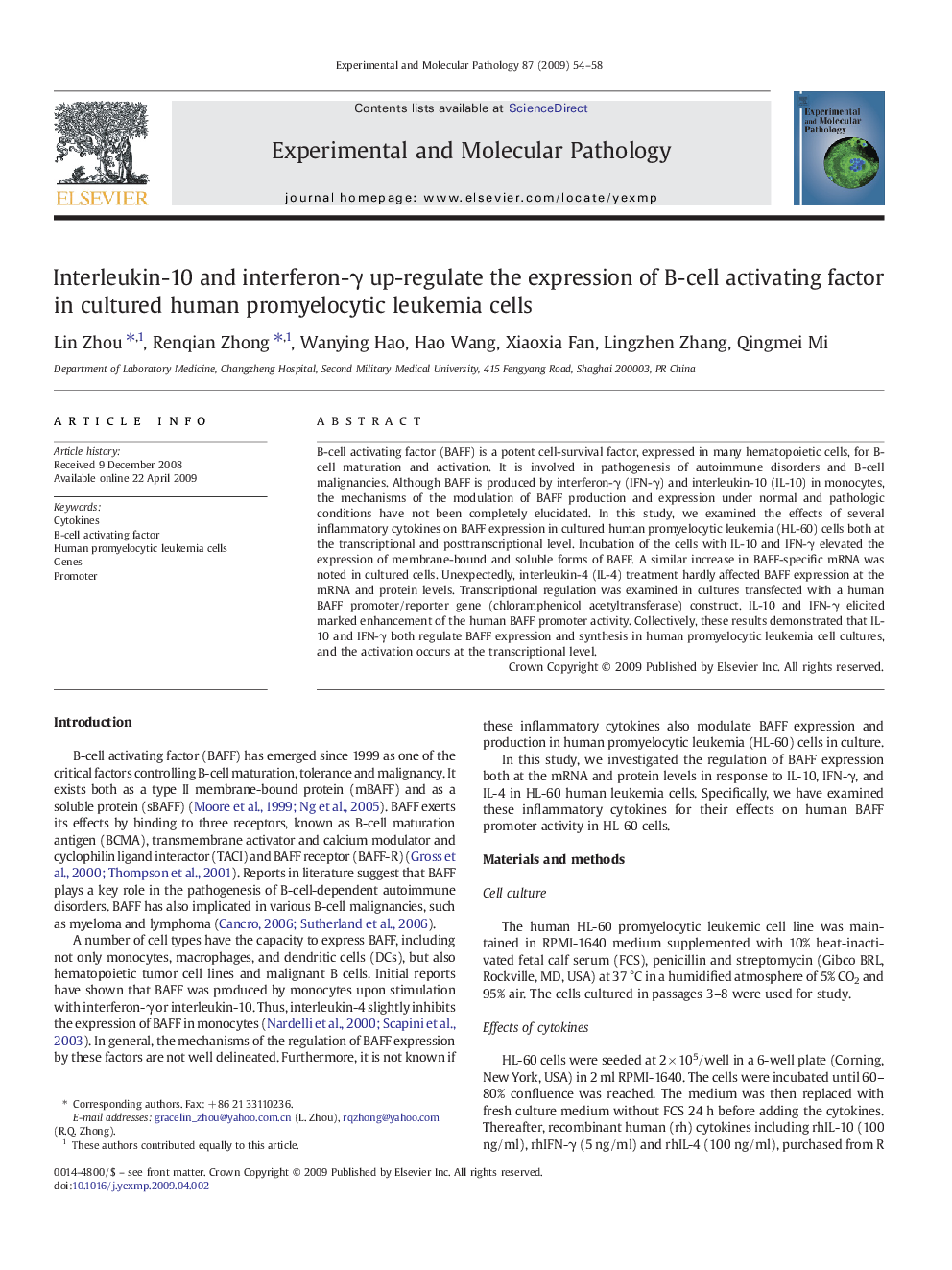 Interleukin-10 and interferon-γ up-regulate the expression of B-cell activating factor in cultured human promyelocytic leukemia cells