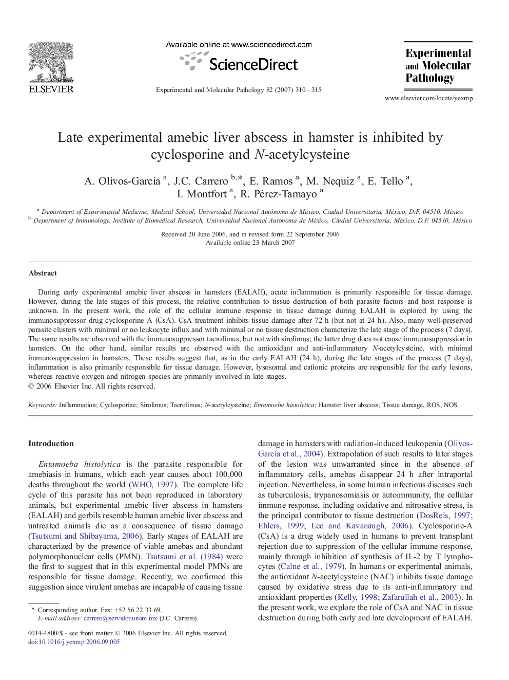 Late experimental amebic liver abscess in hamster is inhibited by cyclosporine and N-acetylcysteine