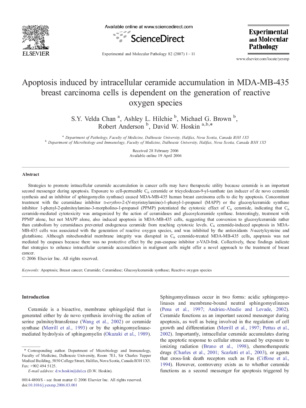 Apoptosis induced by intracellular ceramide accumulation in MDA-MB-435 breast carcinoma cells is dependent on the generation of reactive oxygen species