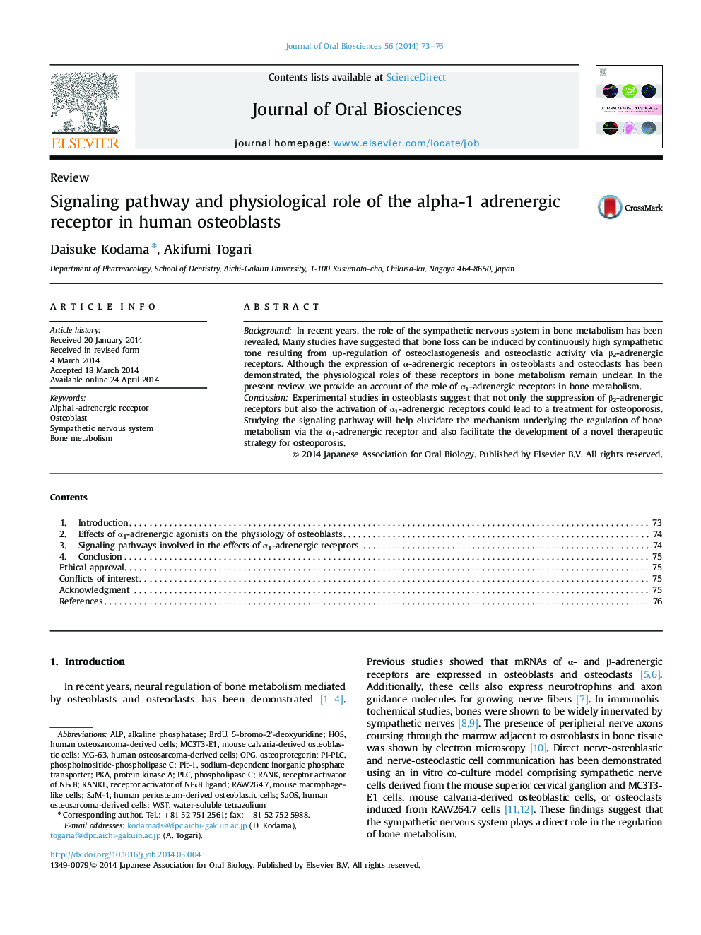 Signaling pathway and physiological role of the alpha-1 adrenergic receptor in human osteoblasts