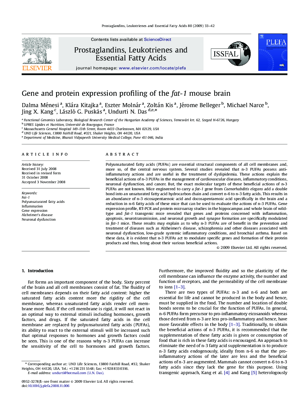 Gene and protein expression profiling of the fat-1 mouse brain