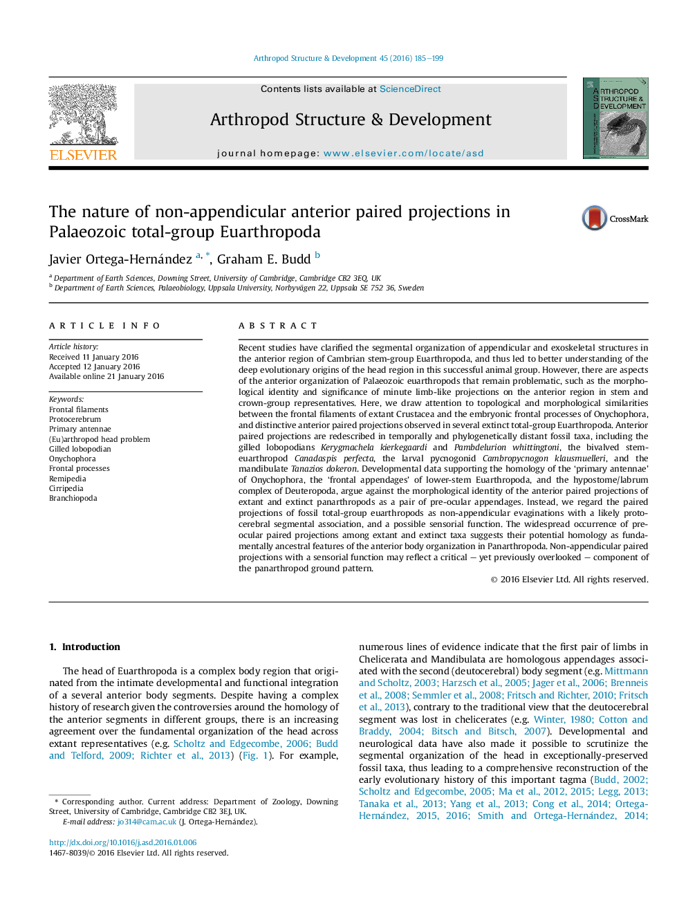 The nature of non-appendicular anterior paired projections in Palaeozoic total-group Euarthropoda